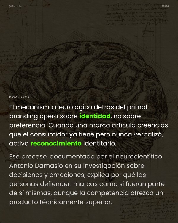 Carrusel Primal Branding — slide 5